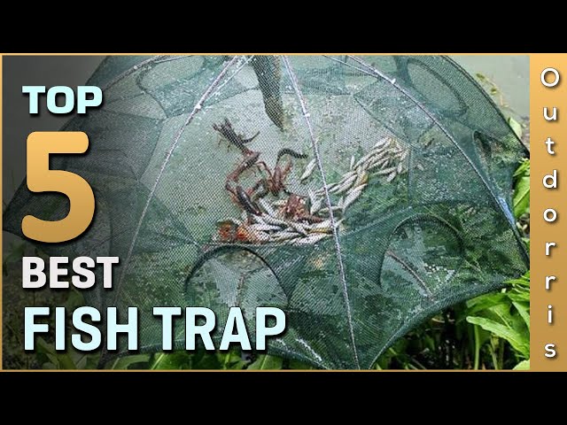 Top 5 Best Fish Traps Review in 2023 