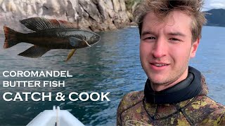 Solo Spearfishing Catch & Cook | Spearfishing Coromandel