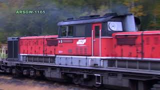 【石北本線】DD51 1165【玉ねぎ貨物】Arsgw-1165　JNR DD51-1165