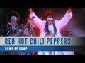 Red Hot Chili Peppers - Dani California (Official Music Video)