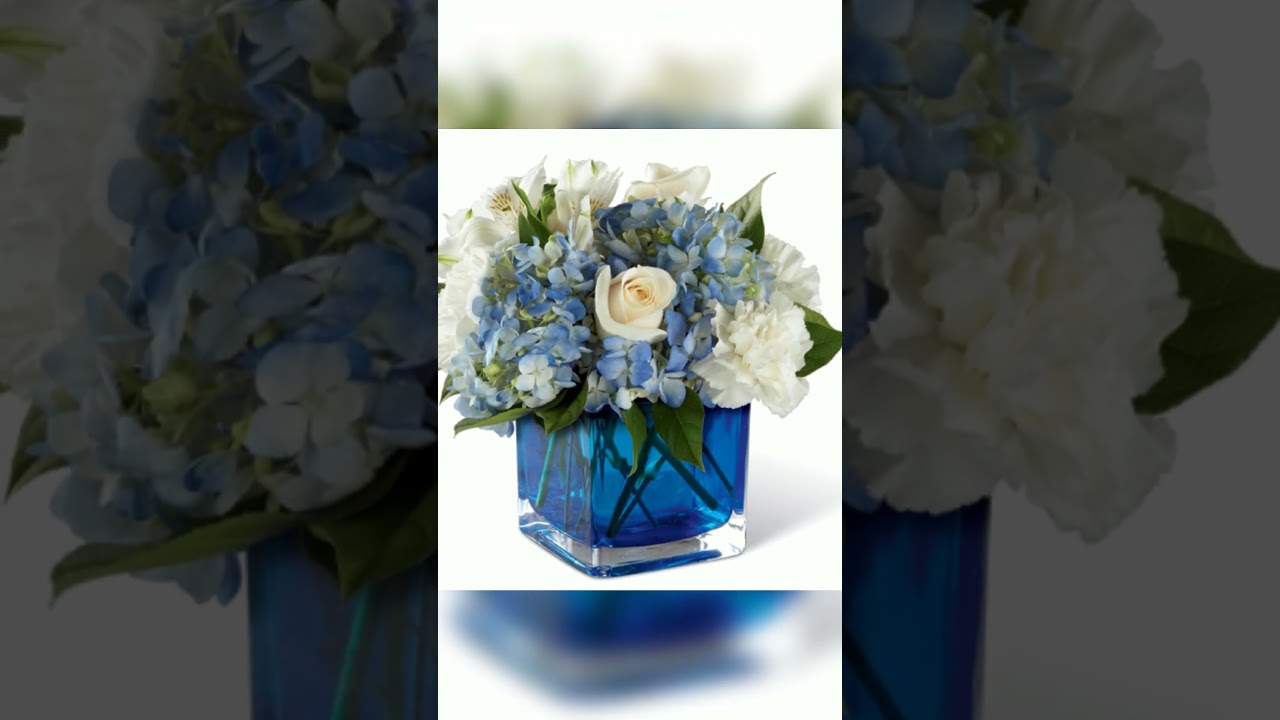 Elegance Awaits: Peace & Light Hanukkah Blooms 