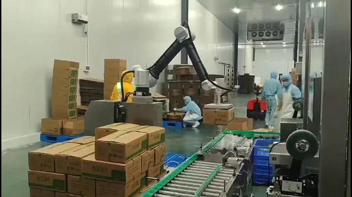 Warsonco Palletizing Robot