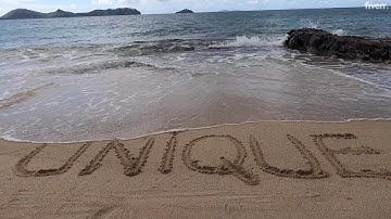 Write a text in the sand on a tropical beach - Best Your Message On... service