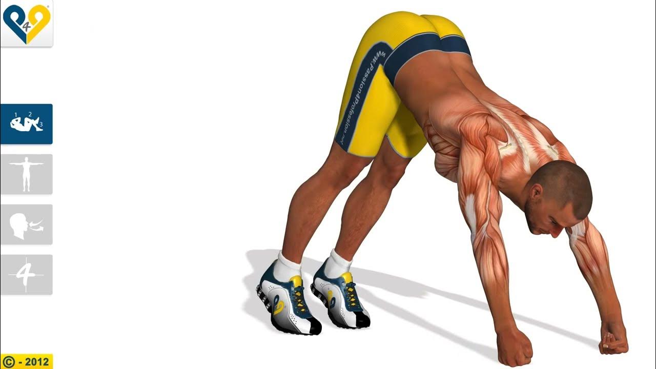 V Push Ups clenched fists Fitness exercises YouTube