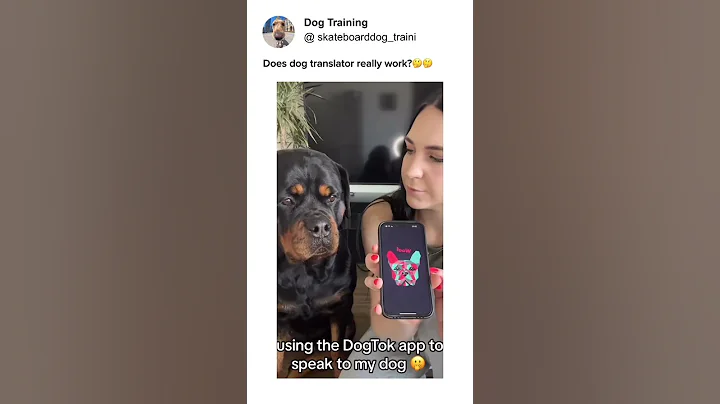 Dog translator works or not? Have a try! #traini #dogtranslator