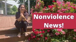 Rosie Reports on Nonviolence News!