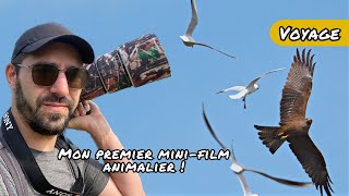 Mon Premier Mini-Film Animalier Réserve Ornithologique Du Teich France Arcachon