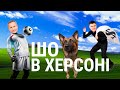 Семенчев і вкрадені 10 мільйонів, махінації Колихаєва та вівчарка тіктокерка - “Шо в Херсоні” #10