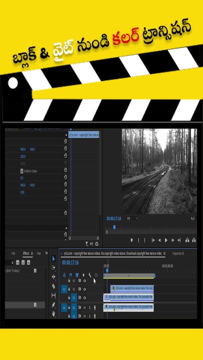 shortsviral How To Change Black White To Color In Premiere shortsviral-how-to-change-black-white-to-color-in-premiere