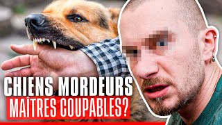 Chiens à problèmes, qui sont les coupables ?