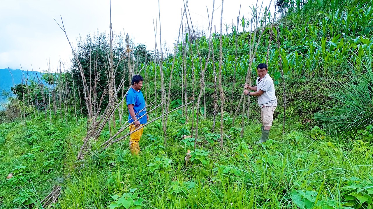 This is Nepal's village || bhumi & sarmila in the village || @bhumicooking