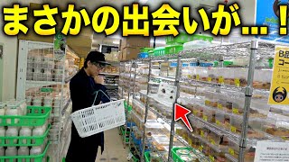 欲しい生体を全て迎え入れた結果