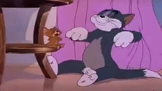 Tom and jerry friendship funny status