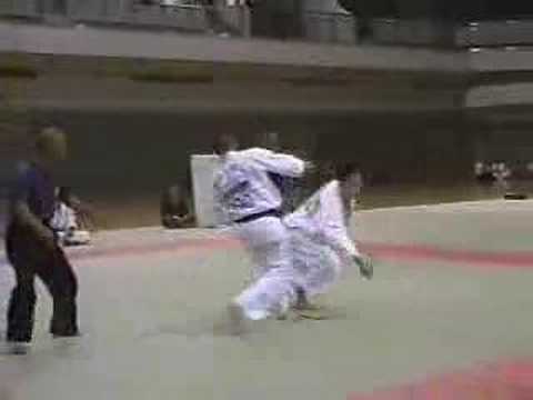 Shodokan Aikido - Osaka 2001