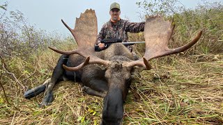 Newfoundland Moose Hunt - Big Bull - October 2020 ***HIT HD***