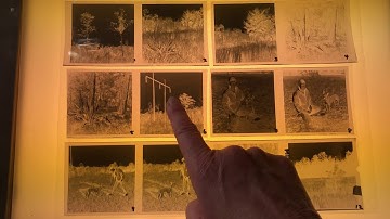 Tutorial: Assessing Darkroom Contact Sheets