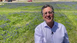 Stoler on the Street: Find the best bluebonnets in Plano