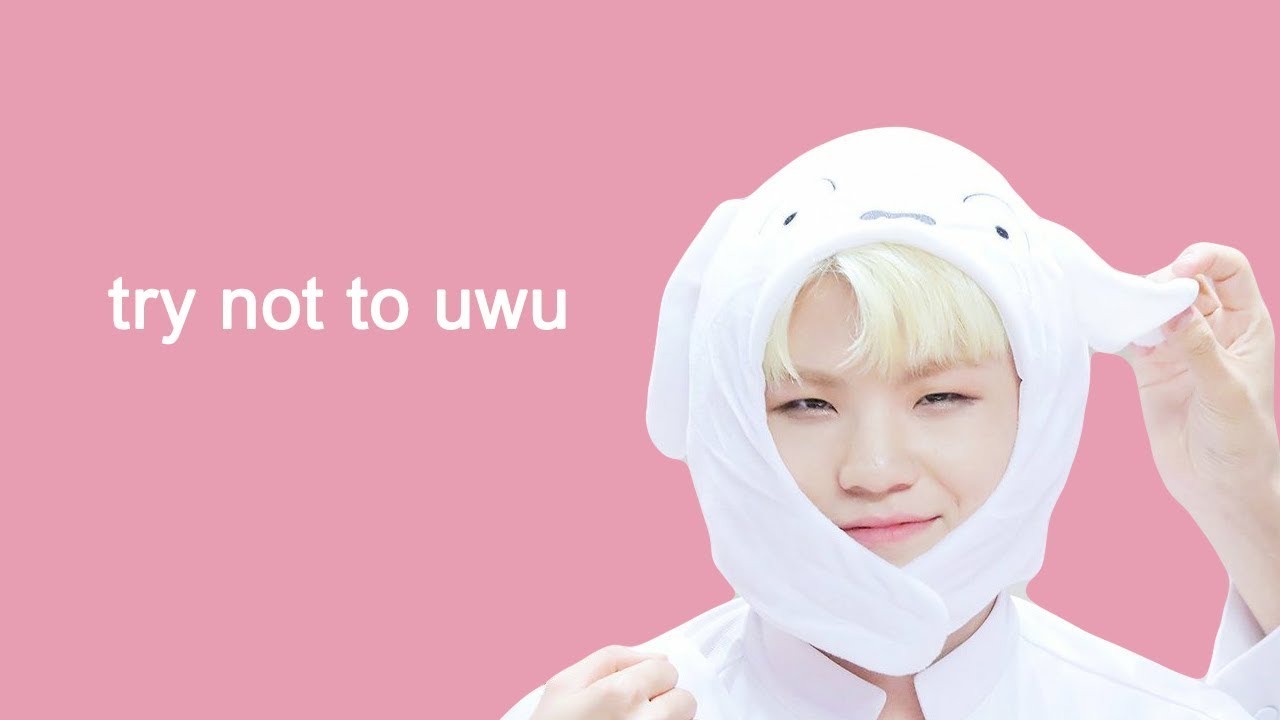 try not to uwu with seventeen