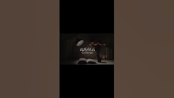 سورة القصص | القارئ ابو بكر الشاطري