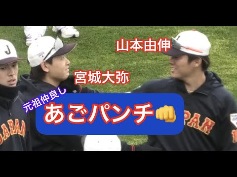 【侍ジャパン】山本由伸が宮城くんにあごパンチ⁉︎(二人は仲良し)宮崎キャンプ