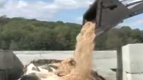 Mortality Composting Part 4