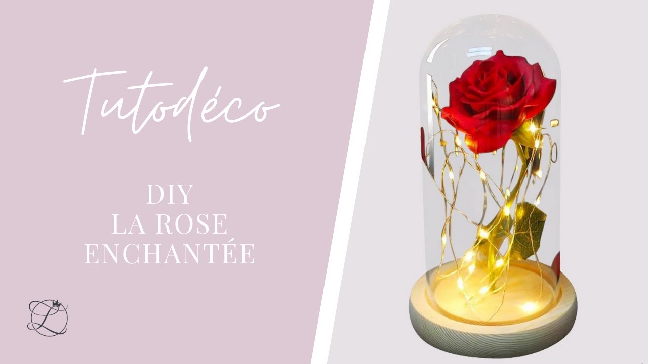 Rose éternelle sous cloche DIY - Locadeco