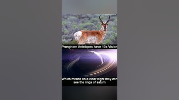 physics unseen facts #shorts #physics #space #universe #albert einstein,general relativity#isaac