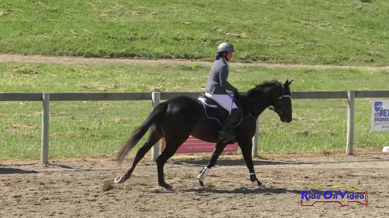 horseshoe bend 051S Kim Goto Miner on Milargro NB Open Novice Show Jumping Shepherd Ranch August 2019