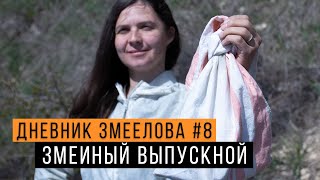 видео: Выпускаем змей и встретили НОВЫХ - Дневник змеелова #8 / Змеелов - ученый картинка: Выпускаем змей и встретили НОВЫХ - Дневник змеелова #8 / Змеелов - ученый