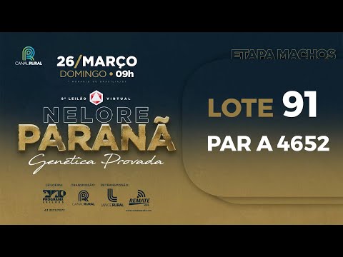 LOTE 91 PAR A4652