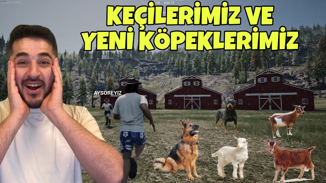 KEÇİLER ALIP AHIR YAPTIK, AYŞO YİNE KÖPEK ALDI KAVGA ETTİK! -RANCH SIMILATOR YENİ SEZON #7