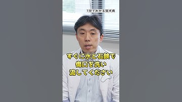 狂犬病の症状と予防策を1分で解説！【1分でわかる感染症】