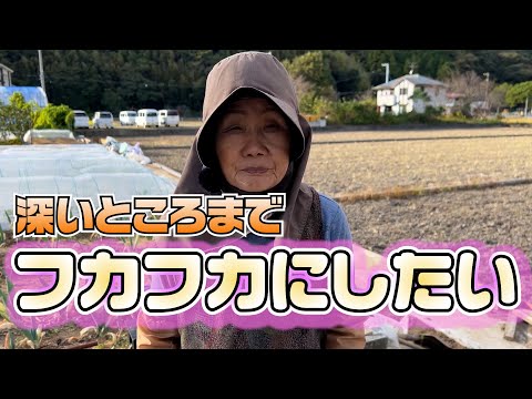 ひろちゃん ひろちゃん農園【公式切り抜き】 - YouTube