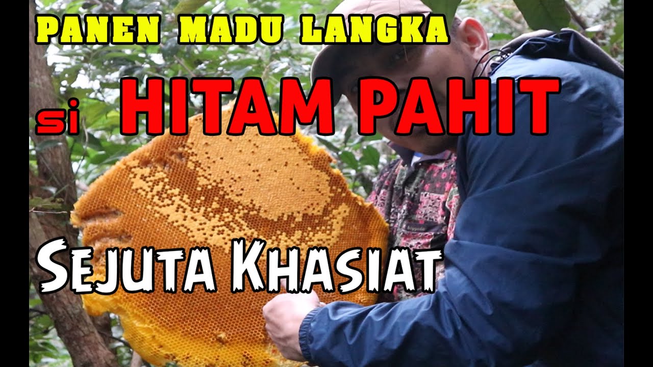 Madu Hitam Pahit, Madu Langka dan sangat berkhasiat