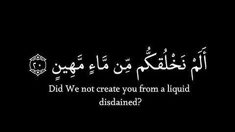﴿ أَلَمْ نَخْلُقكُّم مِّن مَّاءٍ مَّهِينٍ﴾|من|سورة المرسلات||كرومات قرآن|هزاع البلوشي.