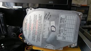 Miniscribe 8051A
