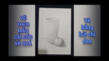 VẼ THEO MẪU CÁI CỐC VÀ QUẢ