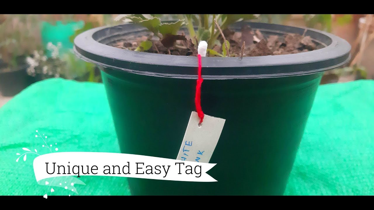 Cheap & Easy Tag DIY Plant Marker Best Garden Plant Label & Marker