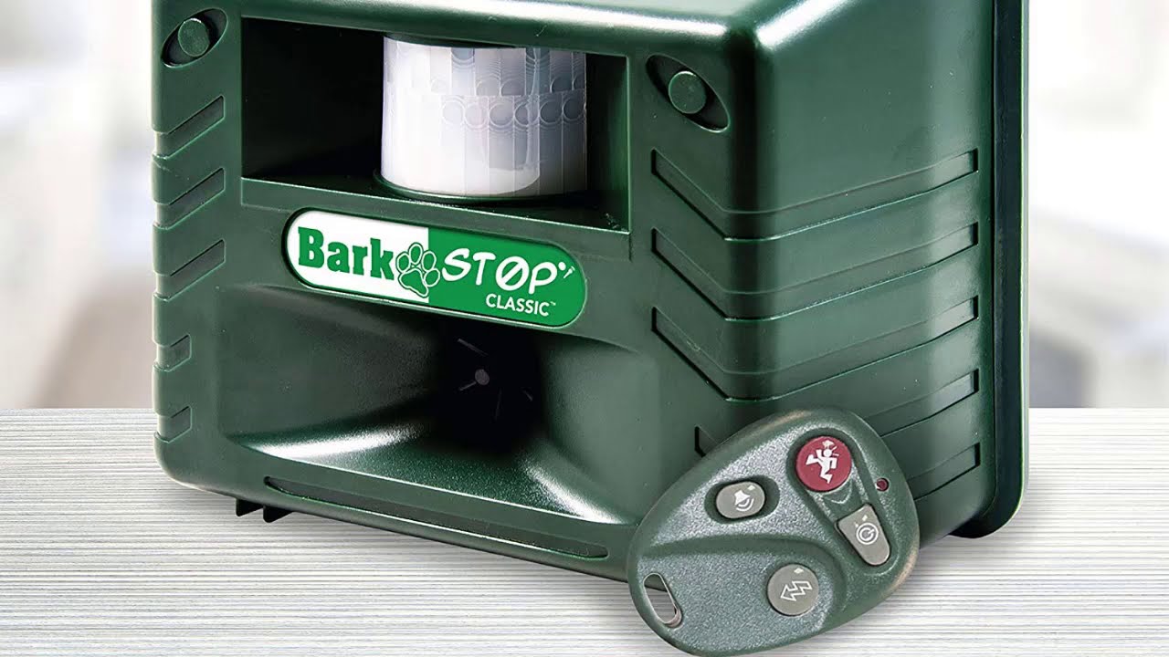 Top 7 Best Cat Repellents YouTube