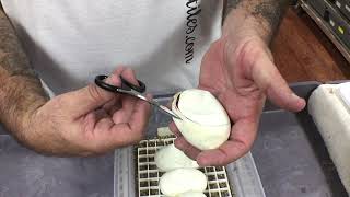 Famous PANDA PIEDS Profile