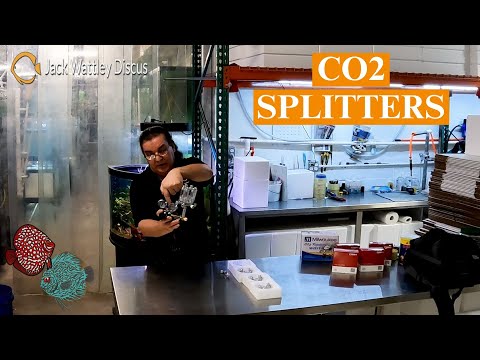 Regulating Multiple Fish Tanks with One CO2 Regulator