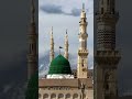 هم ناصروا المختار في تبليغهِ #نايف_الشرهان #انشودة_رائعة