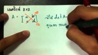 APcen เมตริกซ์ 22