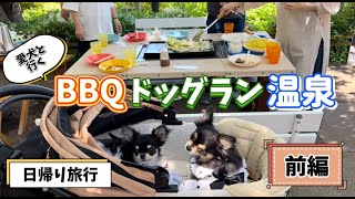 〖前編〗愛犬と行く日帰り旅行【千葉県】～多頭飼い後、初めての日帰りの旅～