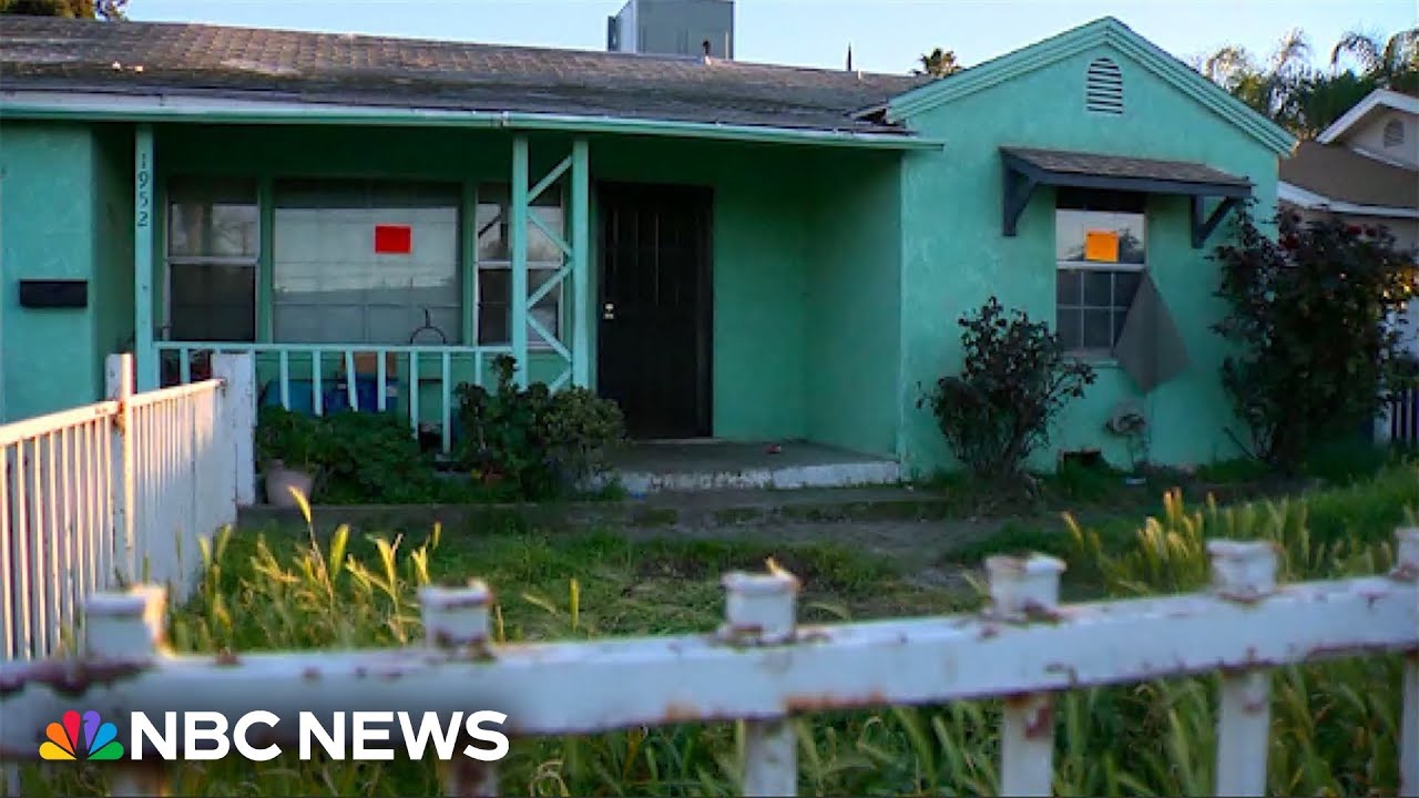 Animal services rescue 86 dogs from hoarder’s California home