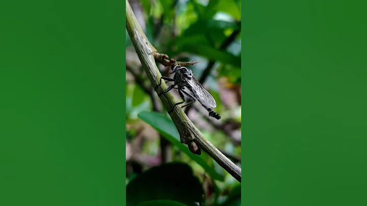 Creative Photography Tips and Trick with Phone using pro Mode Mobile Photography Hacks #shorts