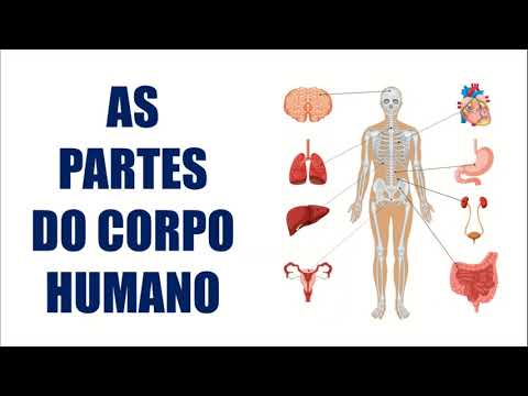 Vídeo: Partes Do Corpo: O Futuro Russo Dos órgãos Humanos Artificiais - Visão Alternativa