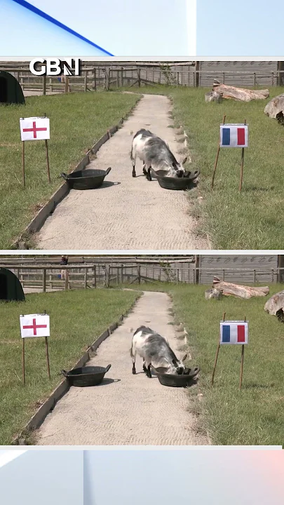 England Women’s Euro 2025 PREDICTED… by a psychic GOAT?