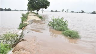 Punjab floods #flood #punjabfloods2023 #begowal