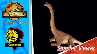 [4K] Jurassic World Evolution 2  All Sauropods Species Viewer